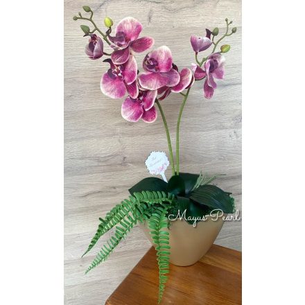 Élethű orchidea