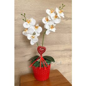 Élethű orchidea